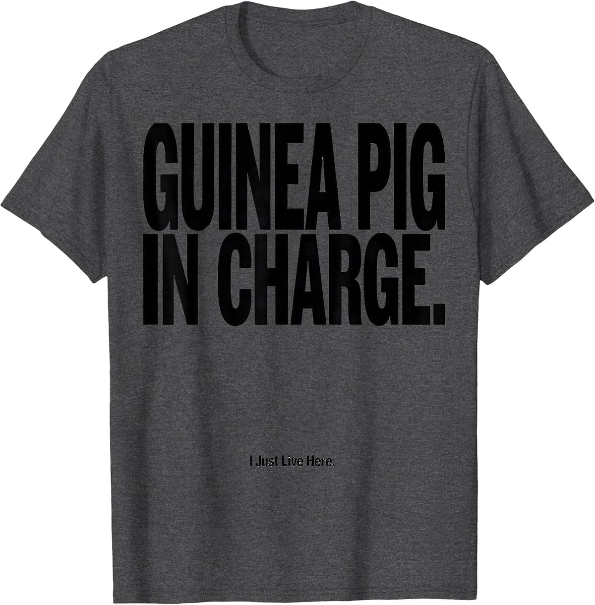 Guinea Pig In Charge I Just Live Here Funny T-Shirt - Dark Heather Grey