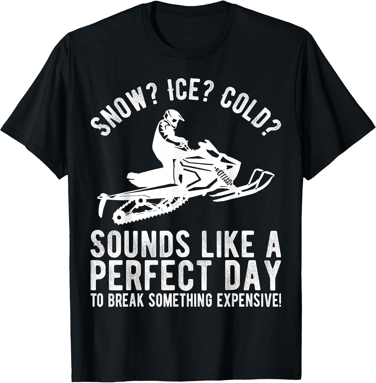 Perfect Day Break Something Expensive Funny Snowmobile T-Shirt - Black