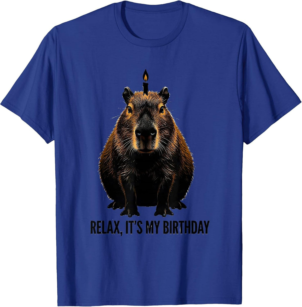Men's Relax It's My Birthday Capybara Kids Birthday Party Humor T-Shirt - Royal Blue