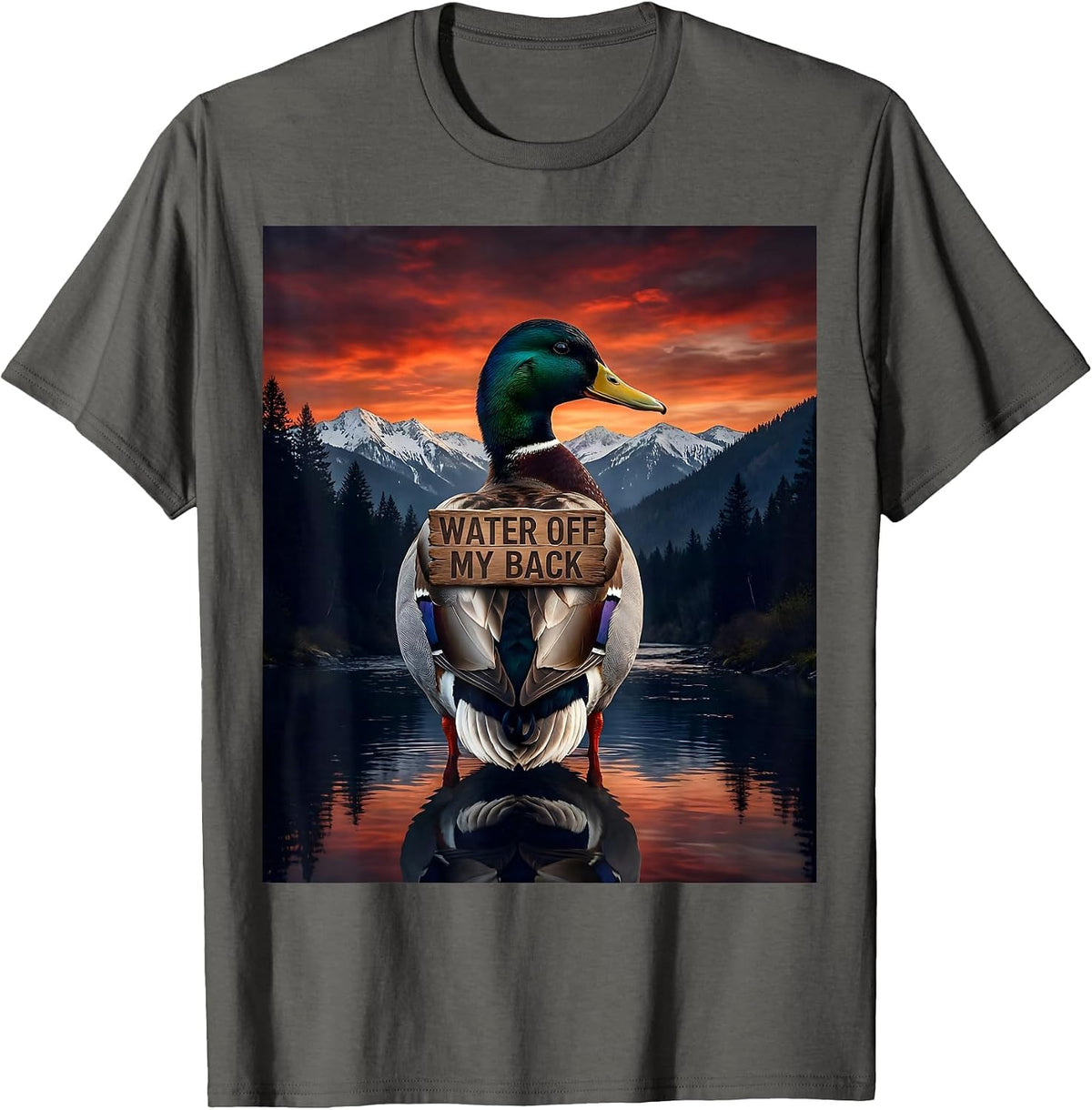 Men's Water Off My Back Carefree Duck Design T-Shirt - Asphalt Grey