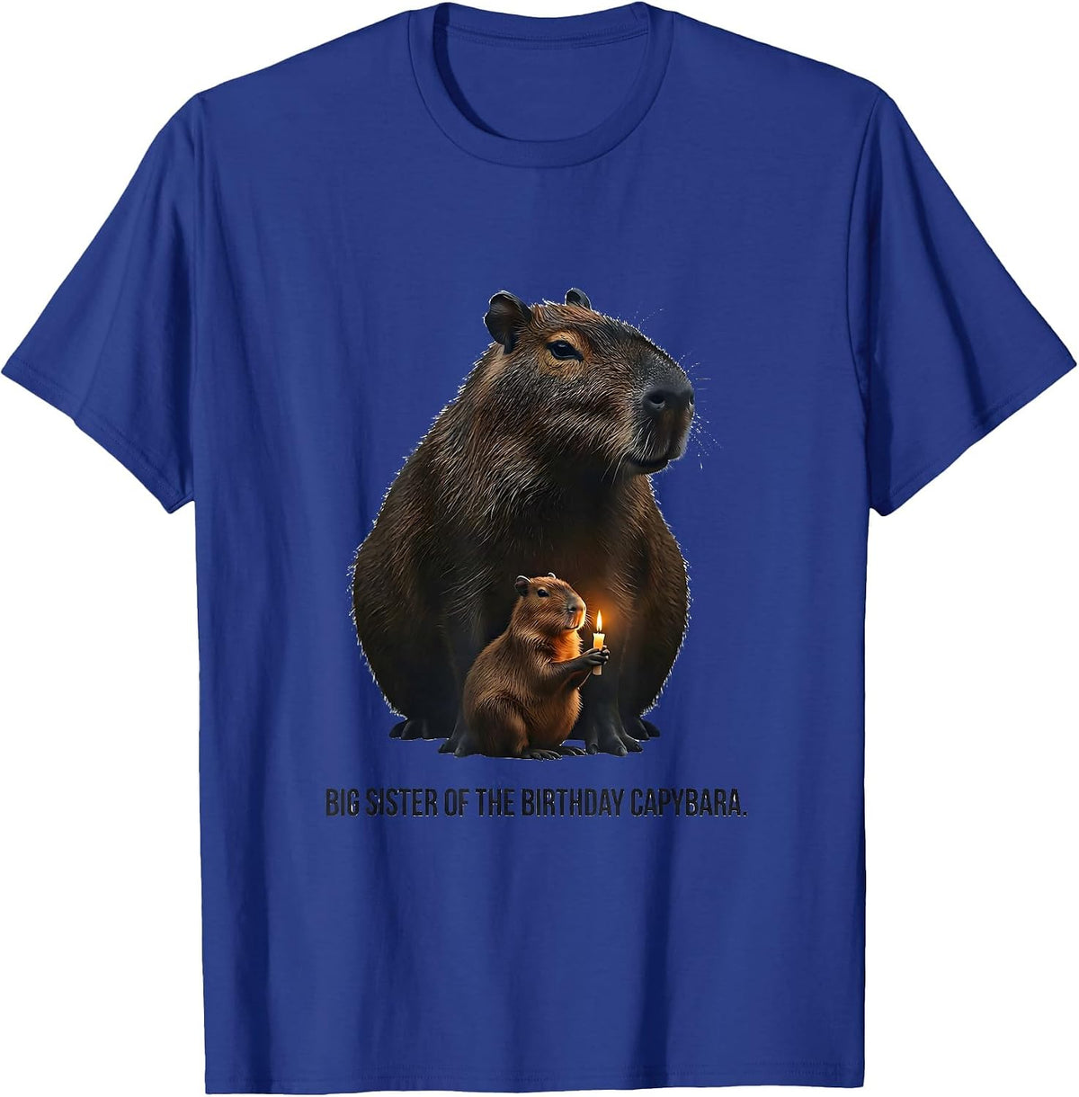 Men's Big Sister Of The Birthday Capybara Kawaii Girl Cute Animal T-Shirt - Royal Blue