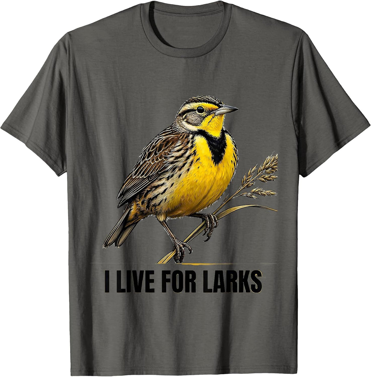 Men's I Live For Larks Funny Birdwatching Bird Lover Nature Humor T-Shirt - Asphalt Grey