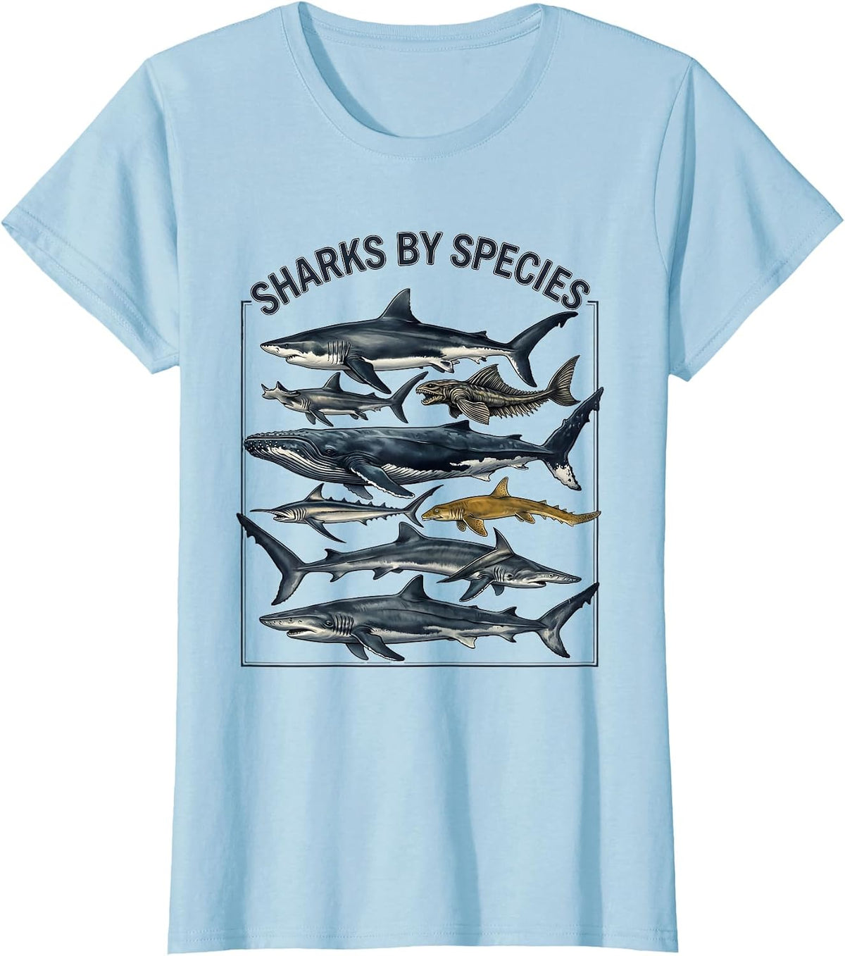 Sharks By Species Marine Biology Ocean Animal Art T-Shirt - Baby Blue