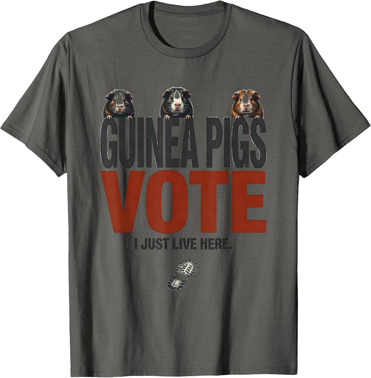 Guinea Pigs Vote, I Just Live Here Funny Pig Lover Farm T-Shirt - Asphalt Grey
