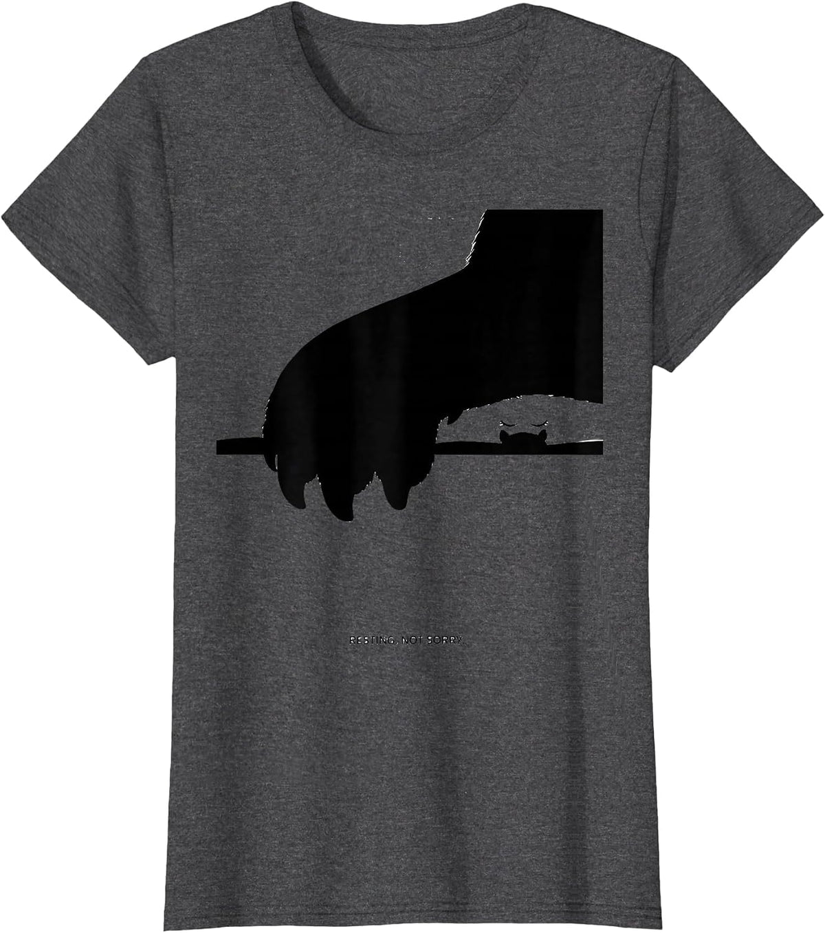Women's Resting Not Sorry Cute Capybara Sleepybara Pajama T-Shirt - Dark Heather Grey
