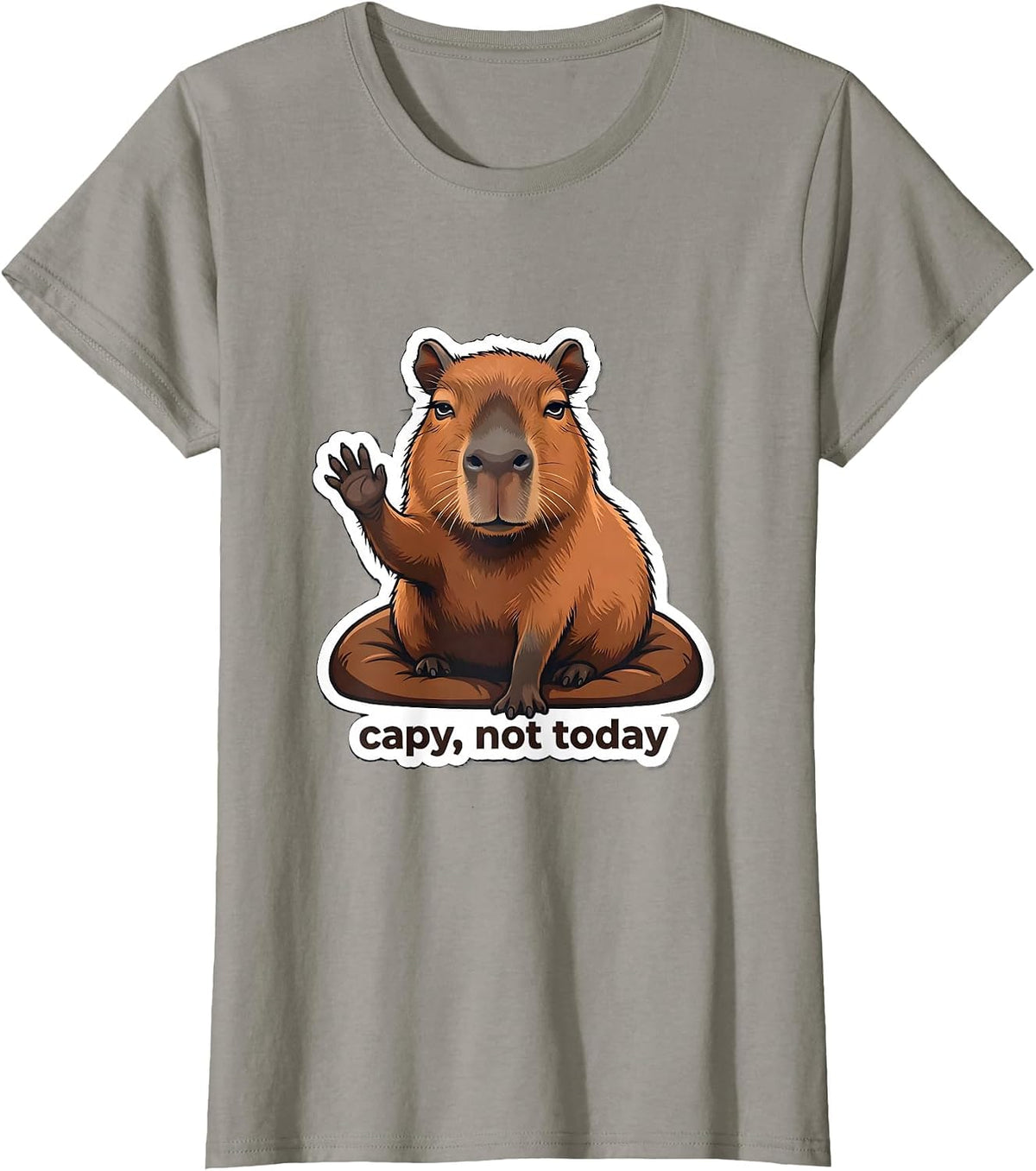 Women's capy, not today Funny Capybara Meme Animal Lover Humor T-Shirt - Slate Grey