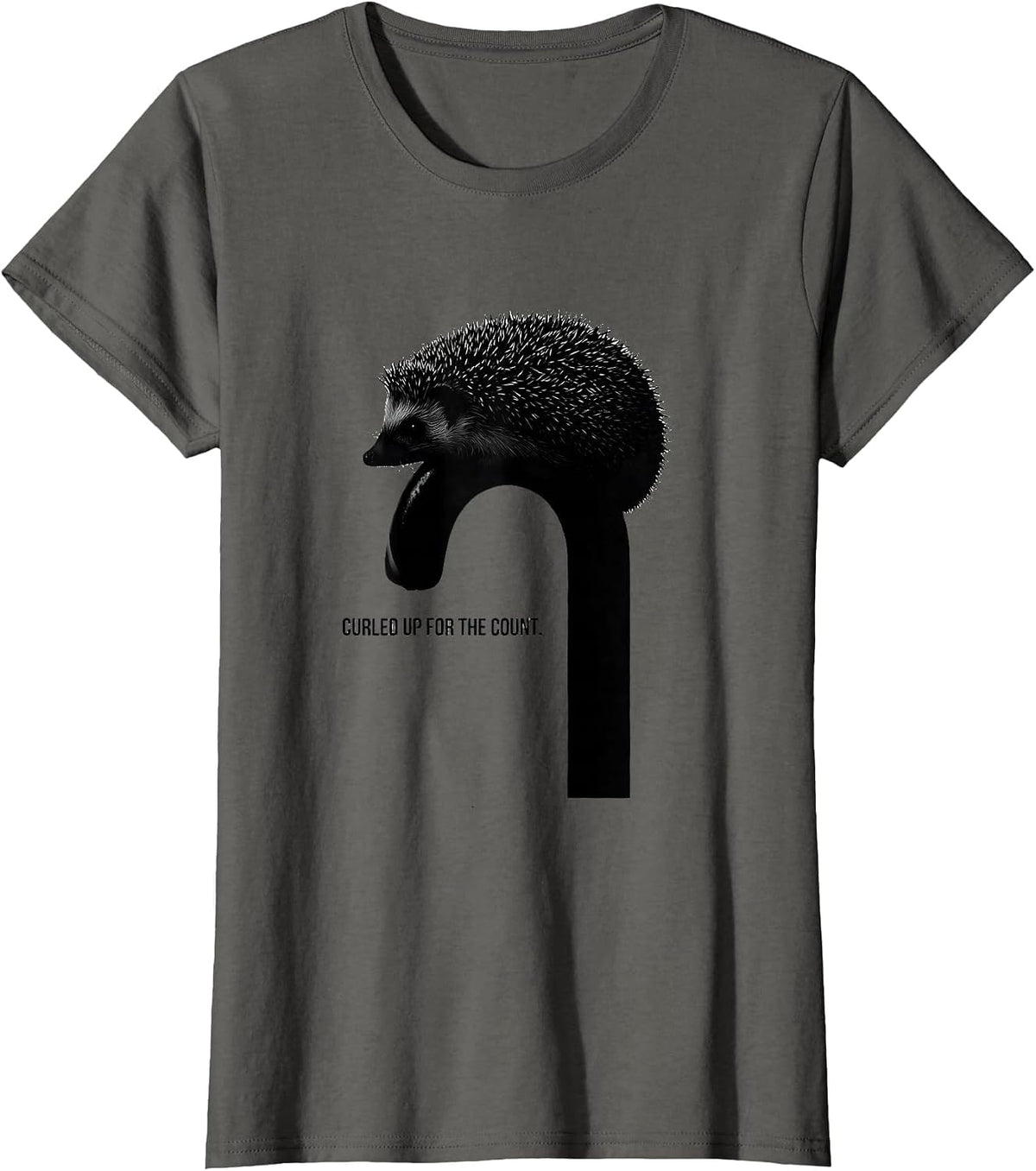 Women's Curled Up For The Count Cute Hedgehog Christmas Novelty T-Shirt - Asphalt Grey