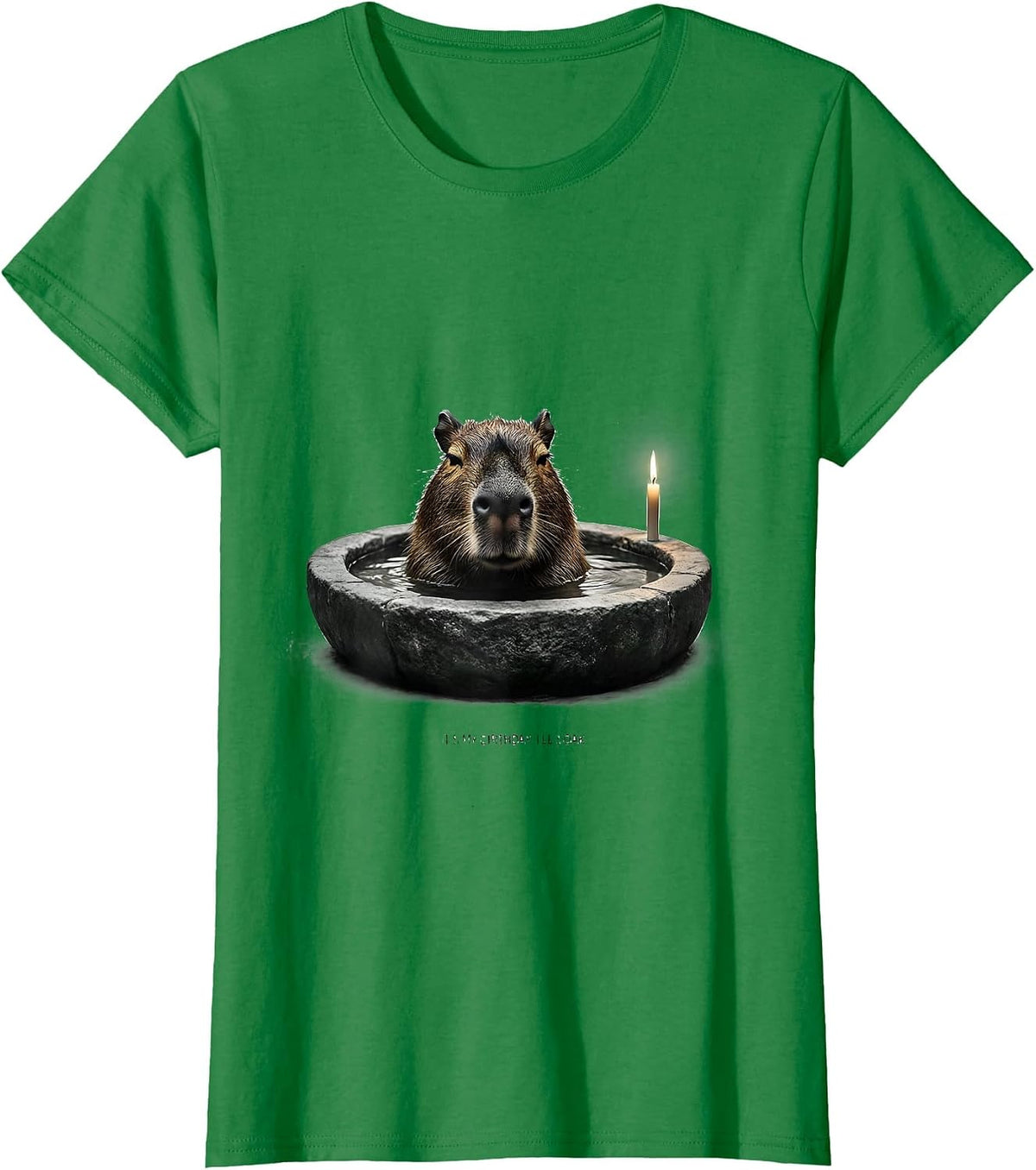 Women's It's My Birthday. I'll Soak. Cute Capybara Kawaii Birthday T-Shirt - Kelly Green