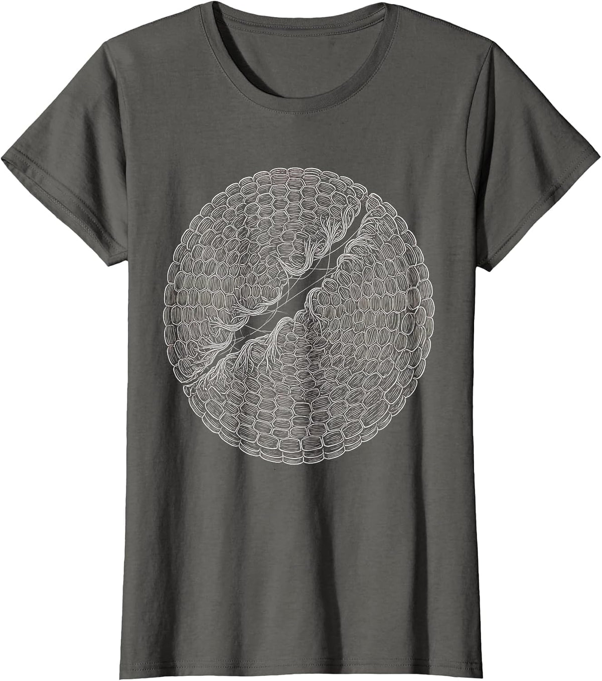 Women's Physical Therapy Torn Muscle Fiber Healing Art T-Shirt - Asphalt Grey