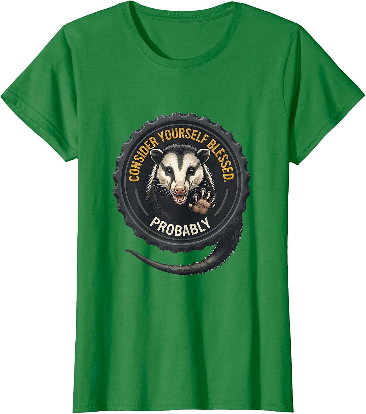 Consider Yourself Blessed Probably Funny Opossum Meme Possum T-Shirt - Kelly Green