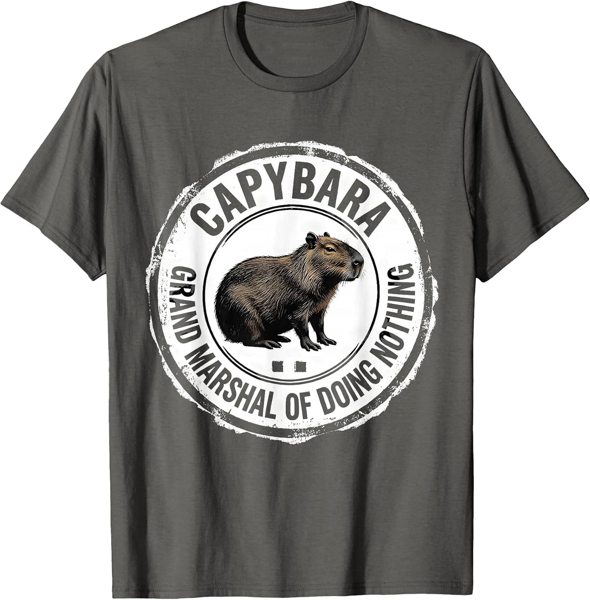 Men's Capybara, Grand Marshal Of Doing Nothing Funny T-Shirt - Asphalt Grey