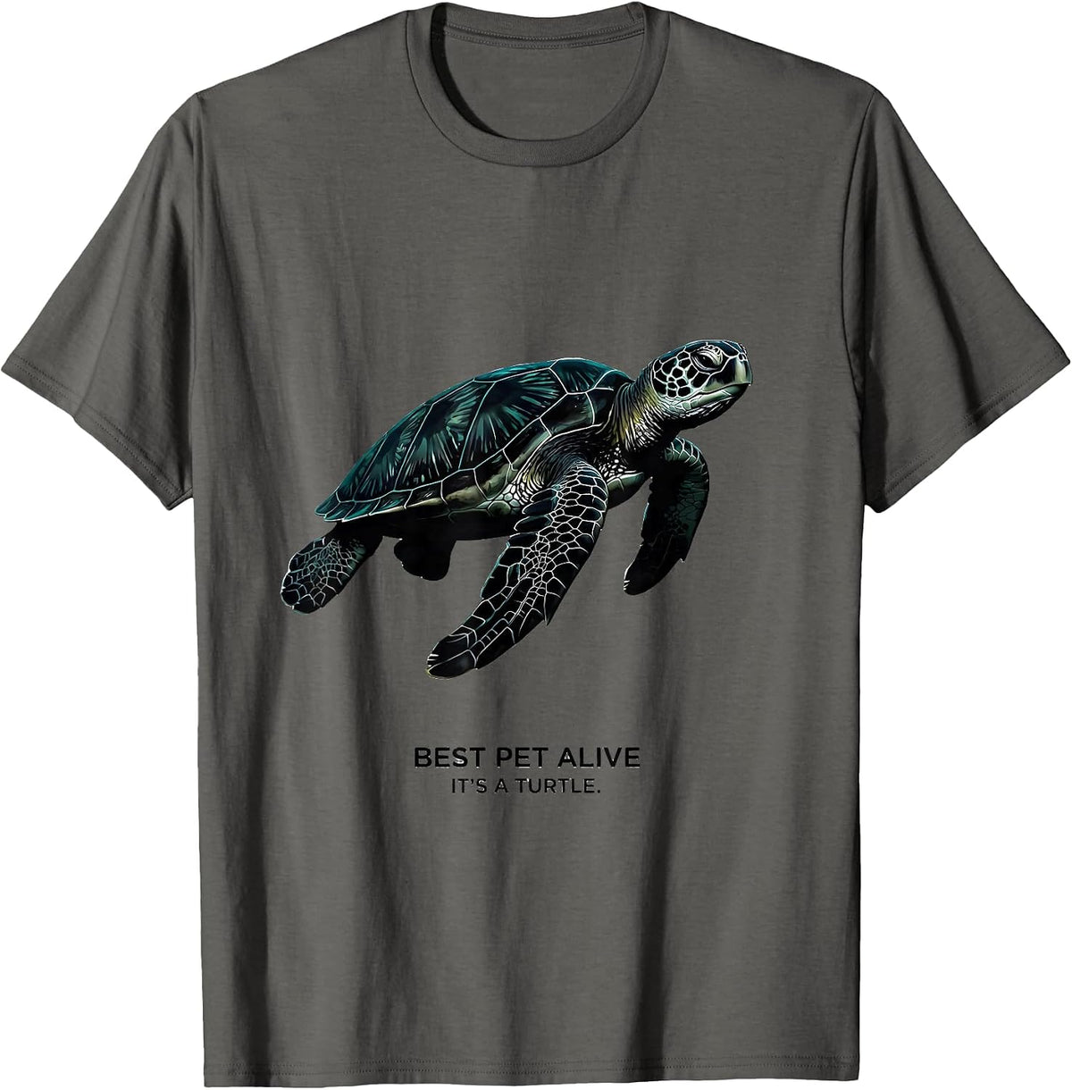 Best Pet Alive It's A Turtle Funny Turtle Lover Gift T-Shirt - Asphalt Grey