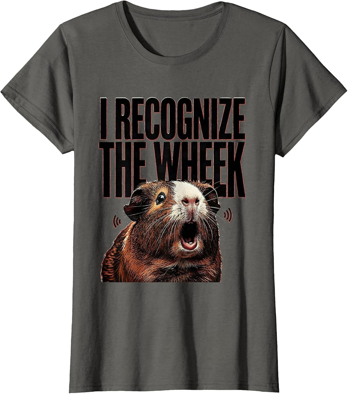 Women's I Recognize The Wheek Funny Guinea Pig Pet Lover Gift T-Shirt - Asphalt Grey