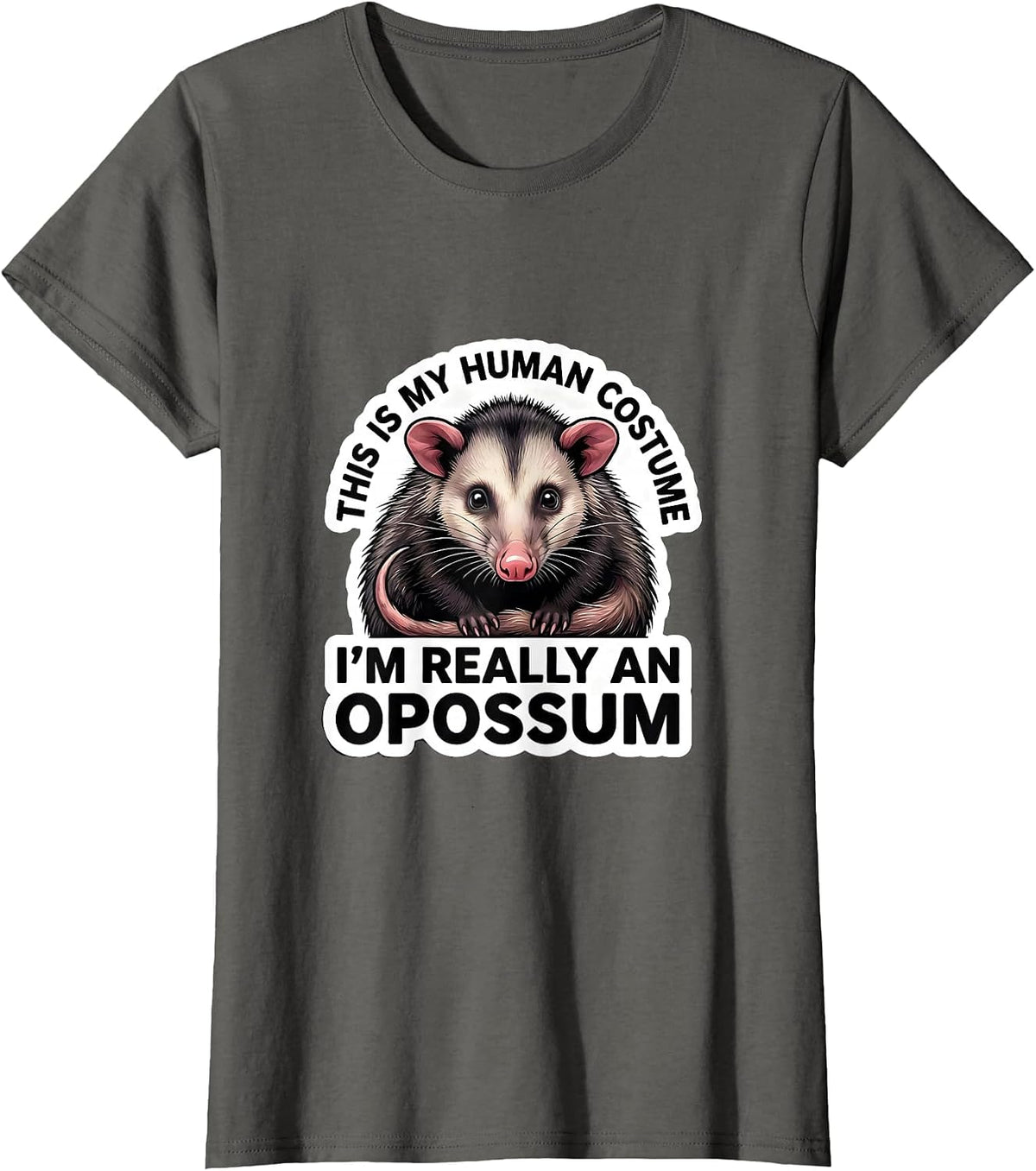 Women's This Is My Human Costume I'm Really An Opossum Halloween T-Shirt - Asphalt Grey