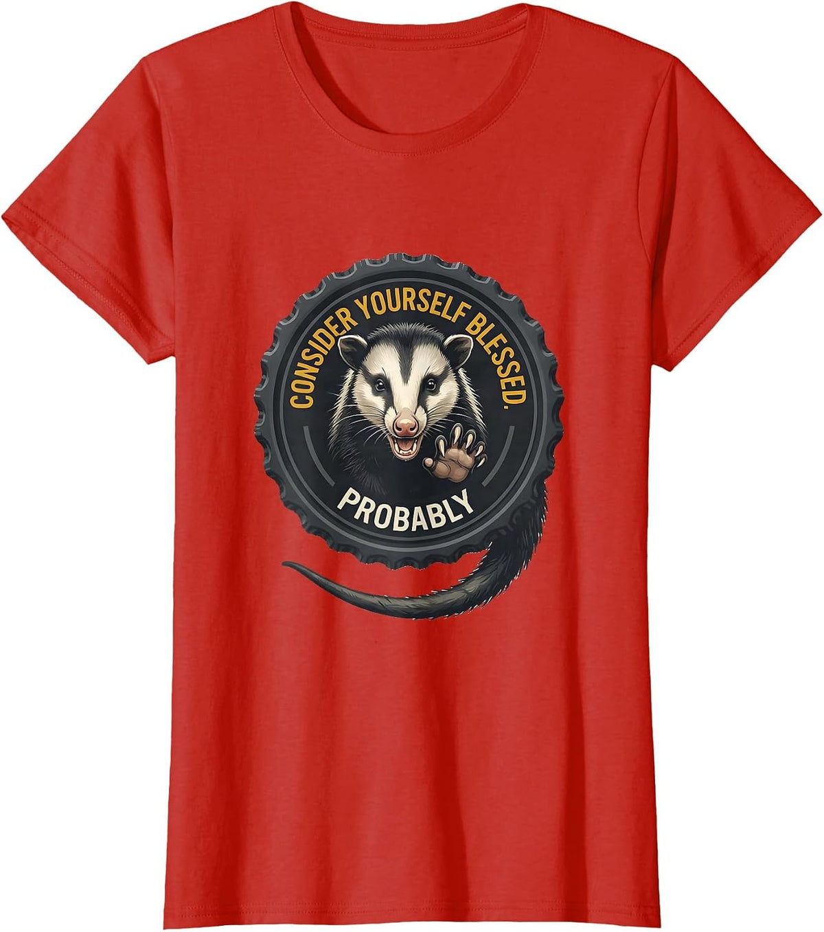 Consider Yourself Blessed Probably Funny Opossum Meme Possum T-Shirt - Red
