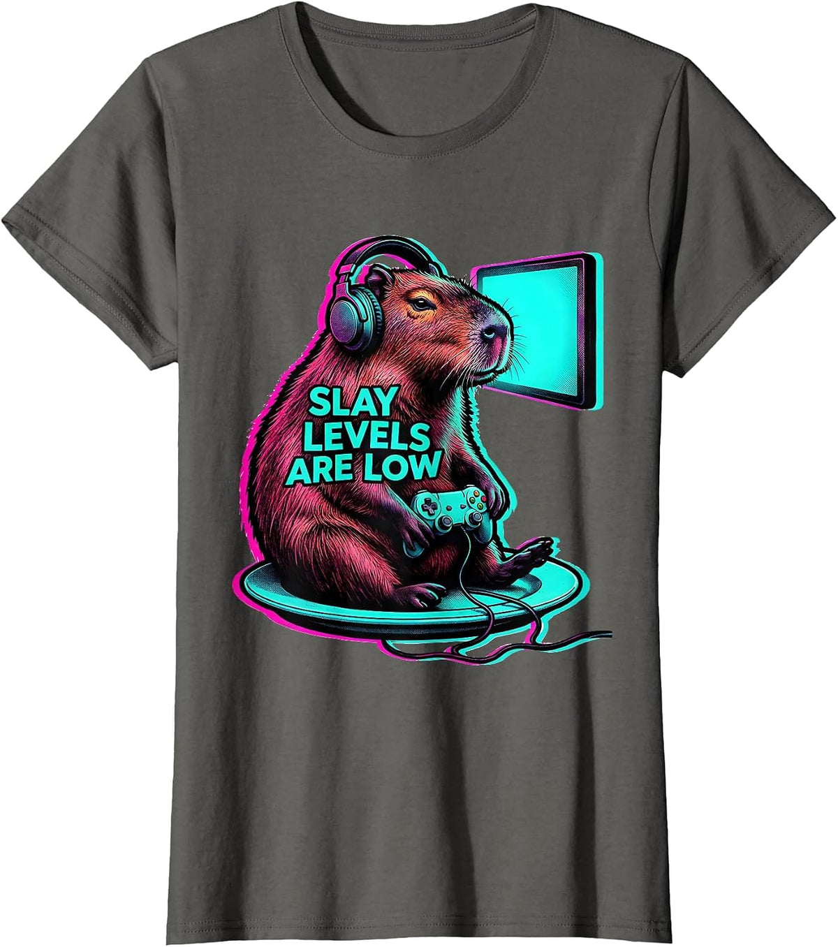 Women's Slay Levels Are Low Funny Capybara Gamer Bruh Meme Humor T-Shirt - Asphalt Grey