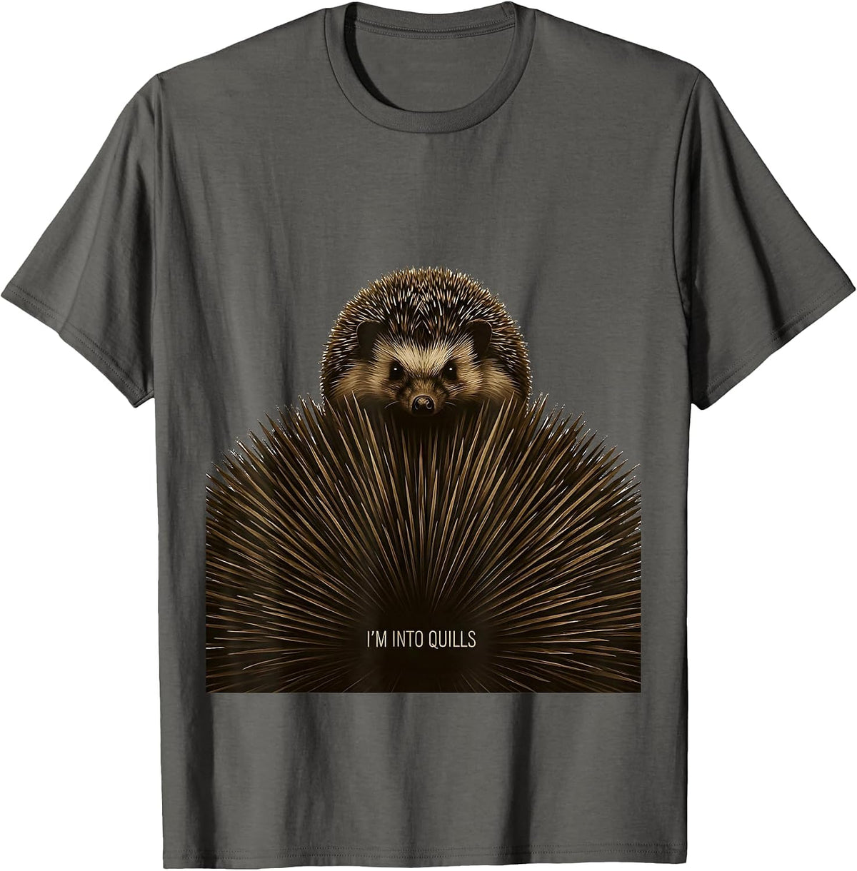 Men's I'm Into Quills Cute Hedgehog Lover Funny Cartoon Humor T-Shirt - Asphalt Grey