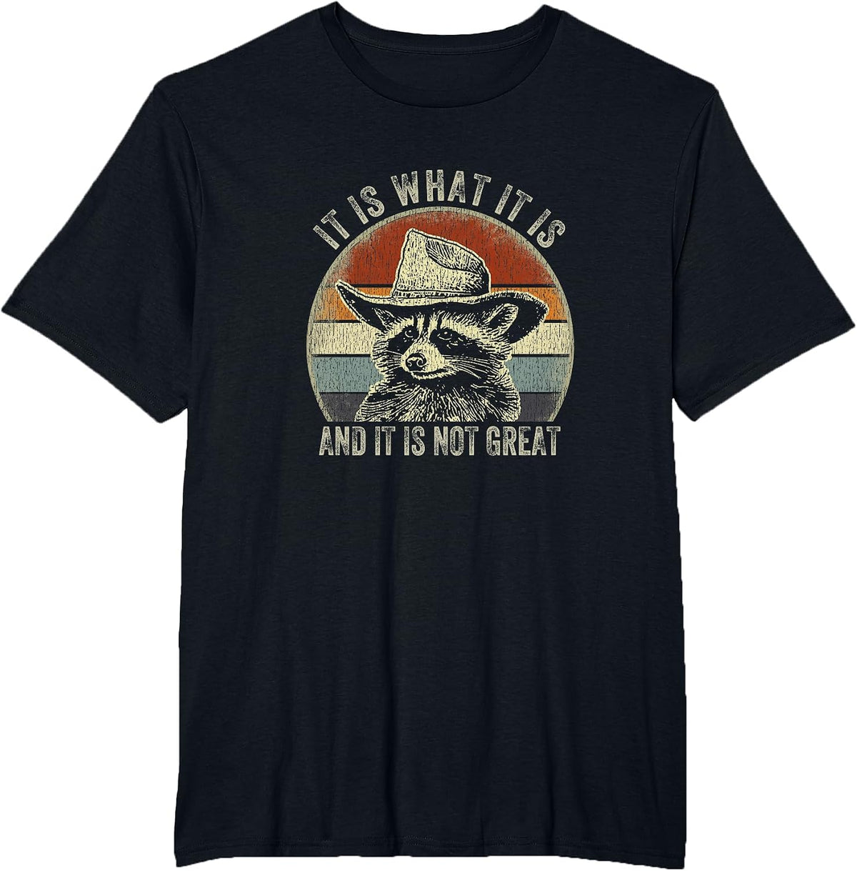 It is What It is and It is Not Great Raccoon Trash Panda T-Shirt - Black