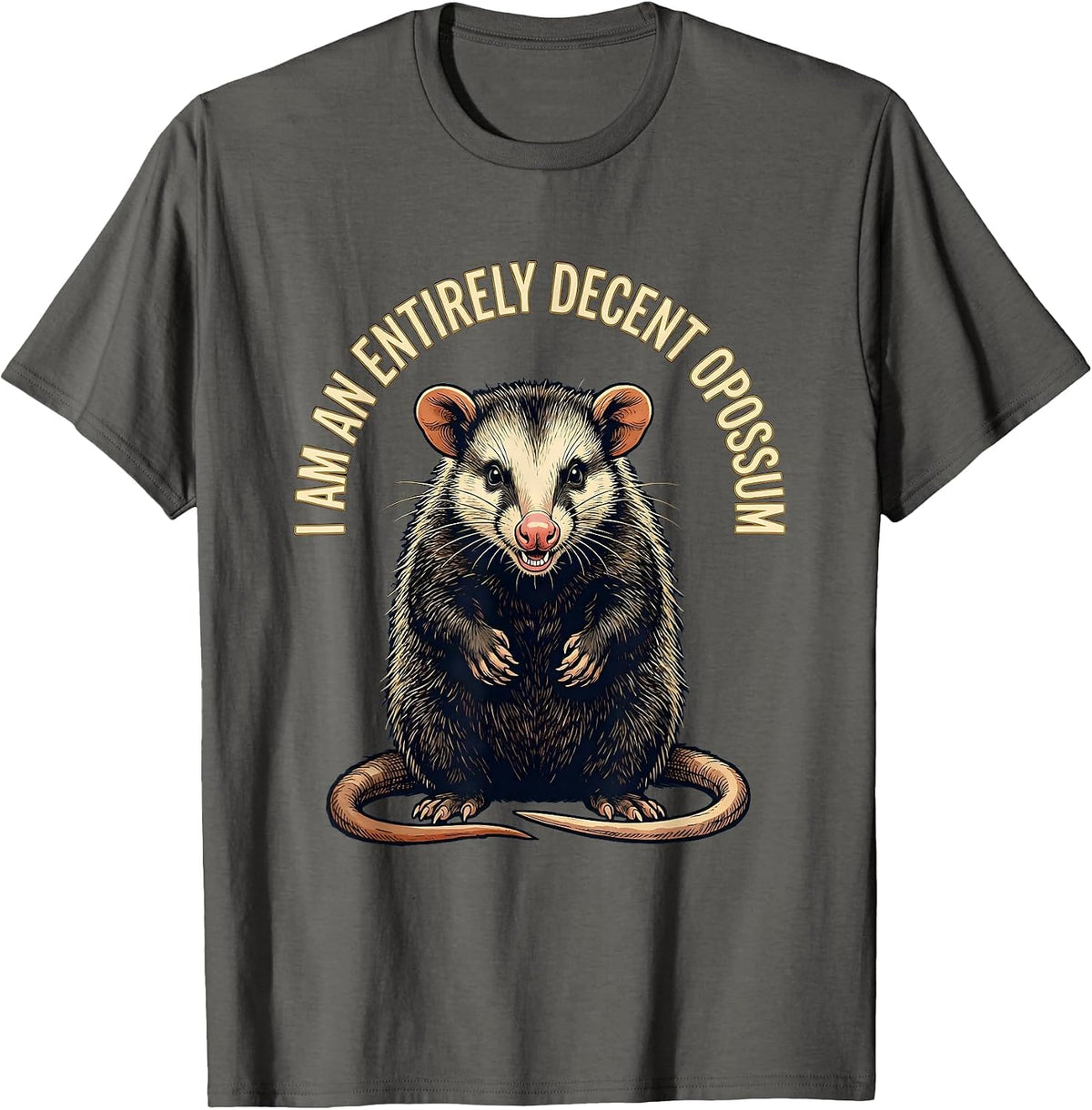 I Am An Entirely Decent Opossum Funny Vintage Opossum Lover T-Shirt - Asphalt Grey