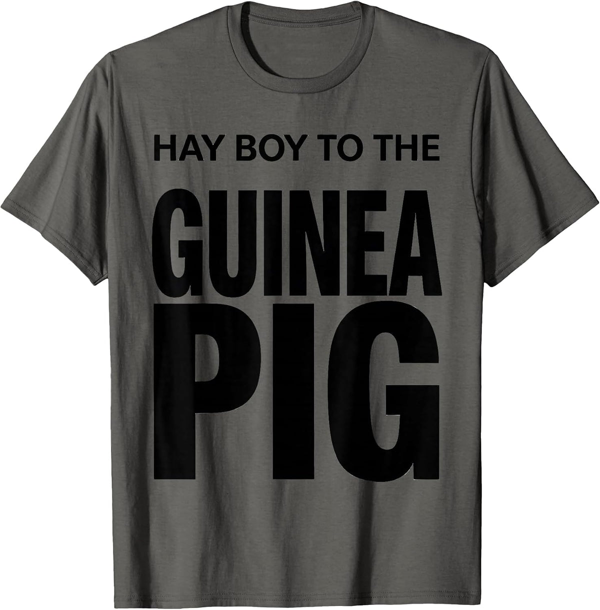 Hay Boy To The Guinea Pig Cute Cavy Lover Humor T-Shirt - Asphalt Grey