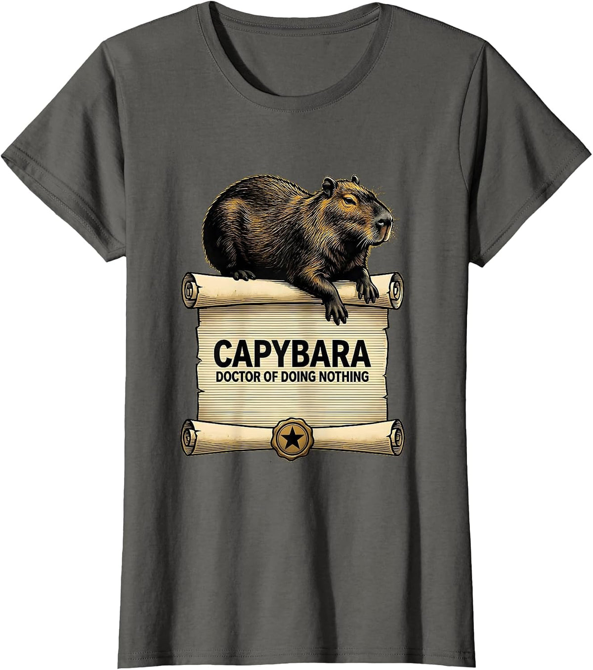 Women's Capybara Doctor Of Doing Nothing Funny Animal Humor Gift T-Shirt - Asphalt Grey