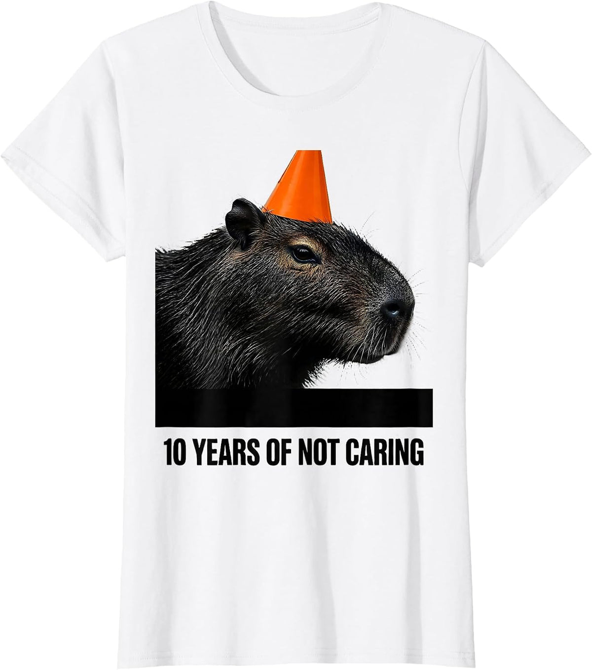 10 Years Of Not Caring Funny Capybara Meme Birthday T-Shirt - White