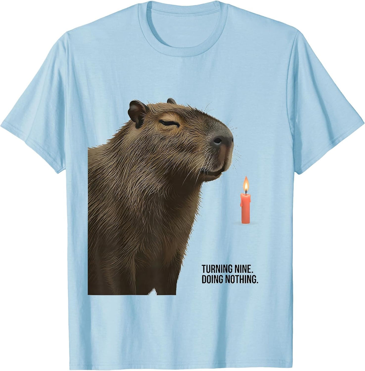 Men's Turning Nine Doing Nothing Kawaii Capybara Birthday Gift T-Shirt - Baby Blue