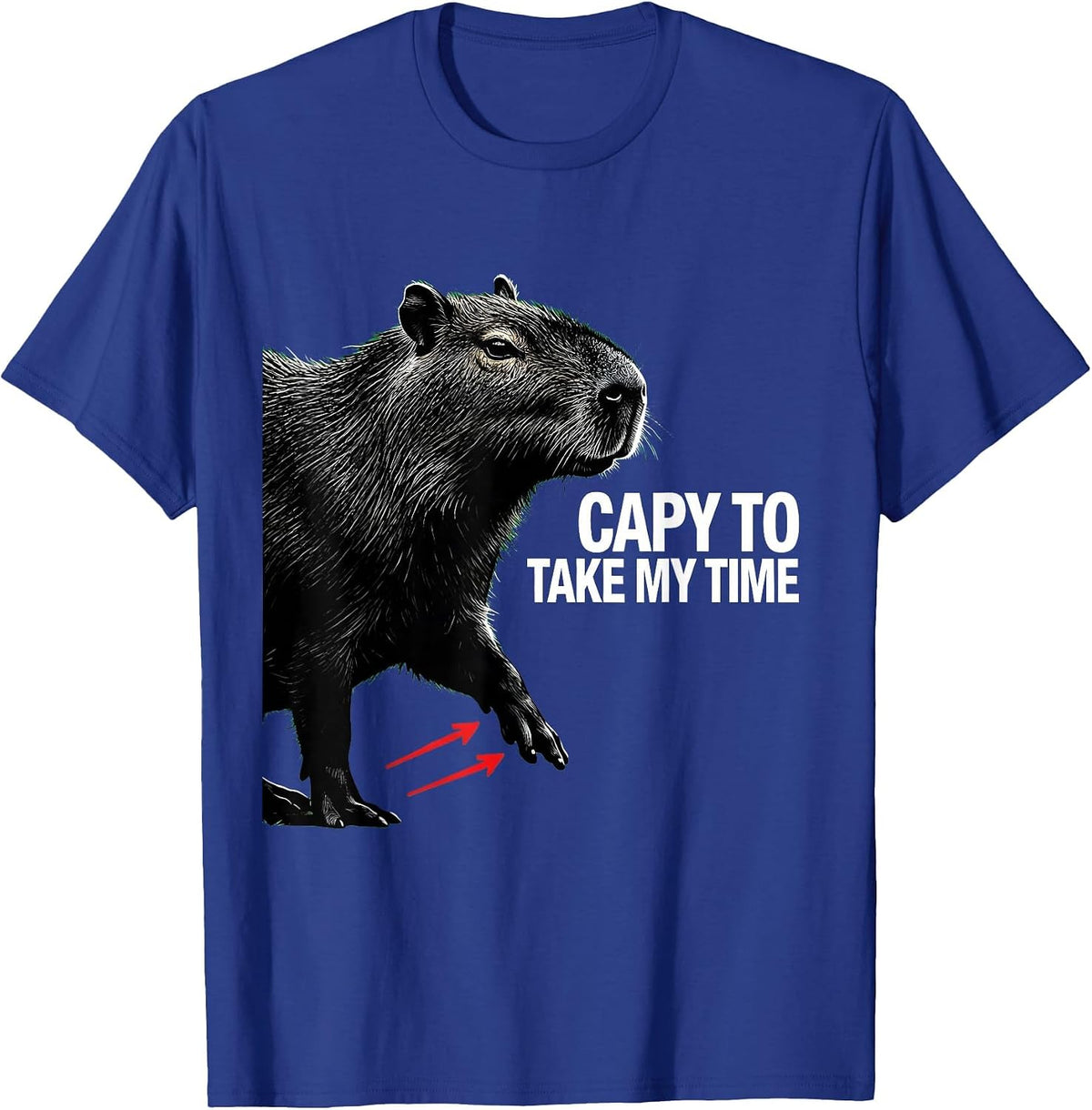 Capy To Take My Time Funny Capybara Animal Humor Youth T-Shirt - Royal Blue