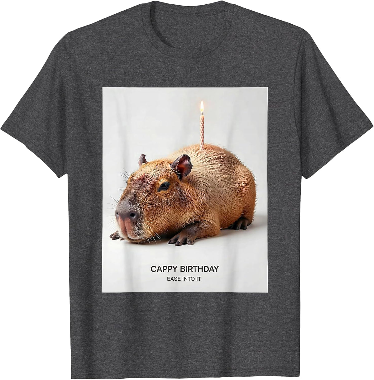 Cappy Birthday Ease Into It Cute Capybara Birthday Humor T-Shirt - Dark Heather Grey