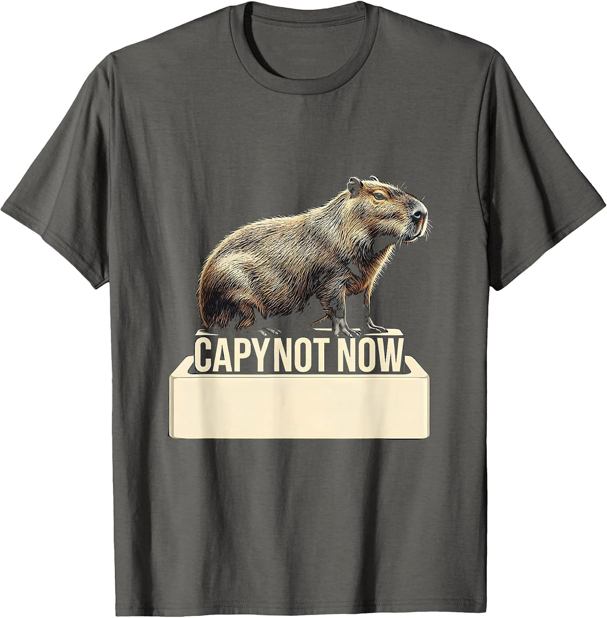 Men's Capy Not Now Funny Capybara Gamer Meme Boys Teens T-Shirt - Asphalt Grey