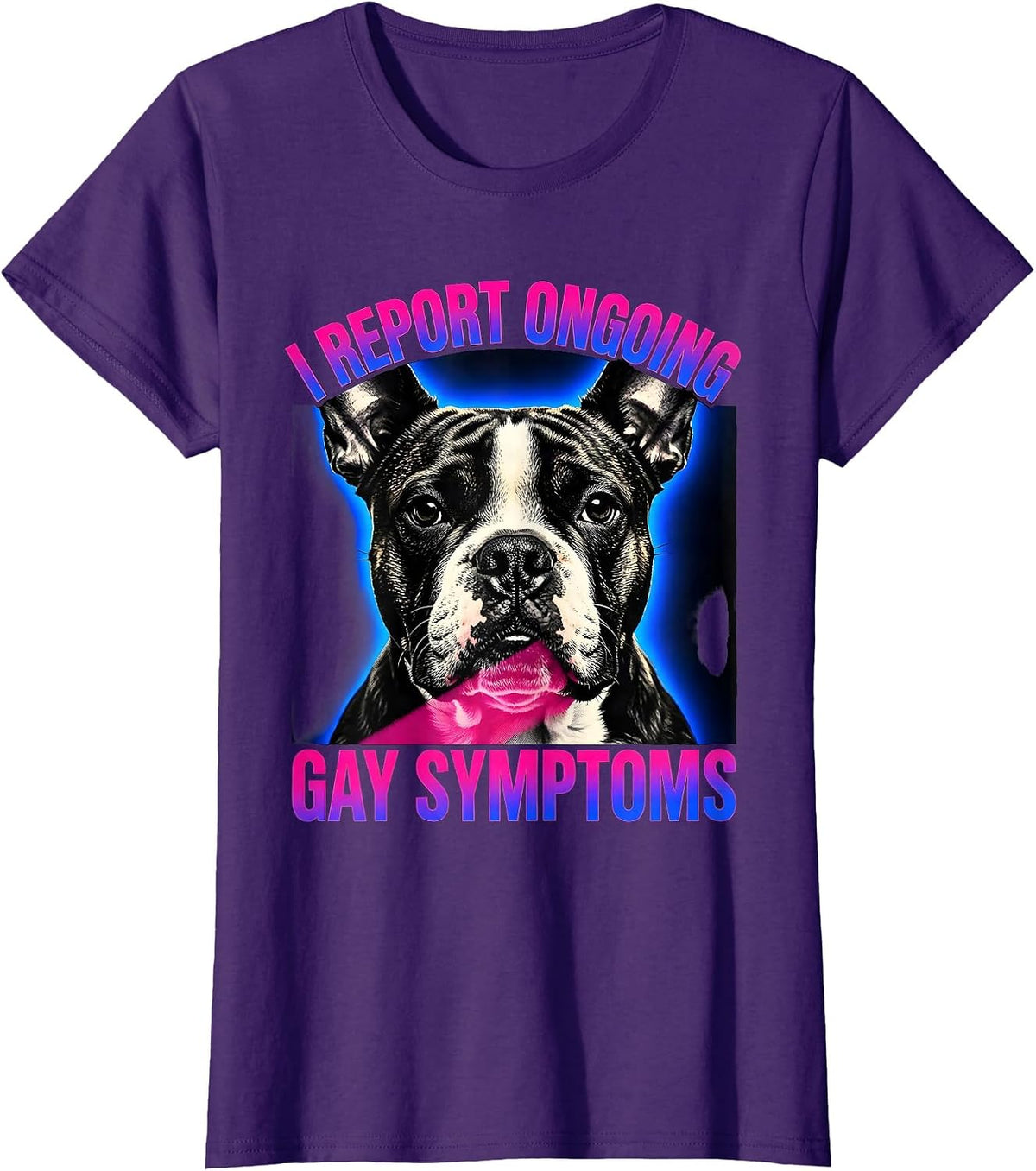 Women's I Report Ongoing Gay Symptoms Funny Bull Terrier Meme T-Shirt - Purple