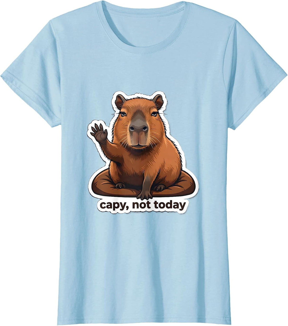 Women's capy, not today Funny Capybara Meme Animal Lover Humor T-Shirt - Baby Blue