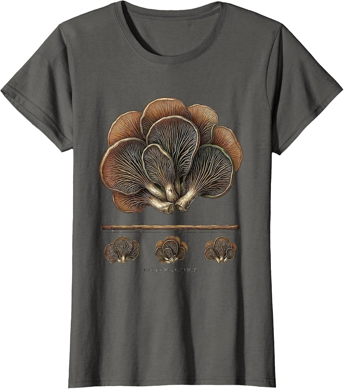 Women's I Have Morel Authority Botanical Fungi Foraging Mushroom T-Shirt - Asphalt Grey
