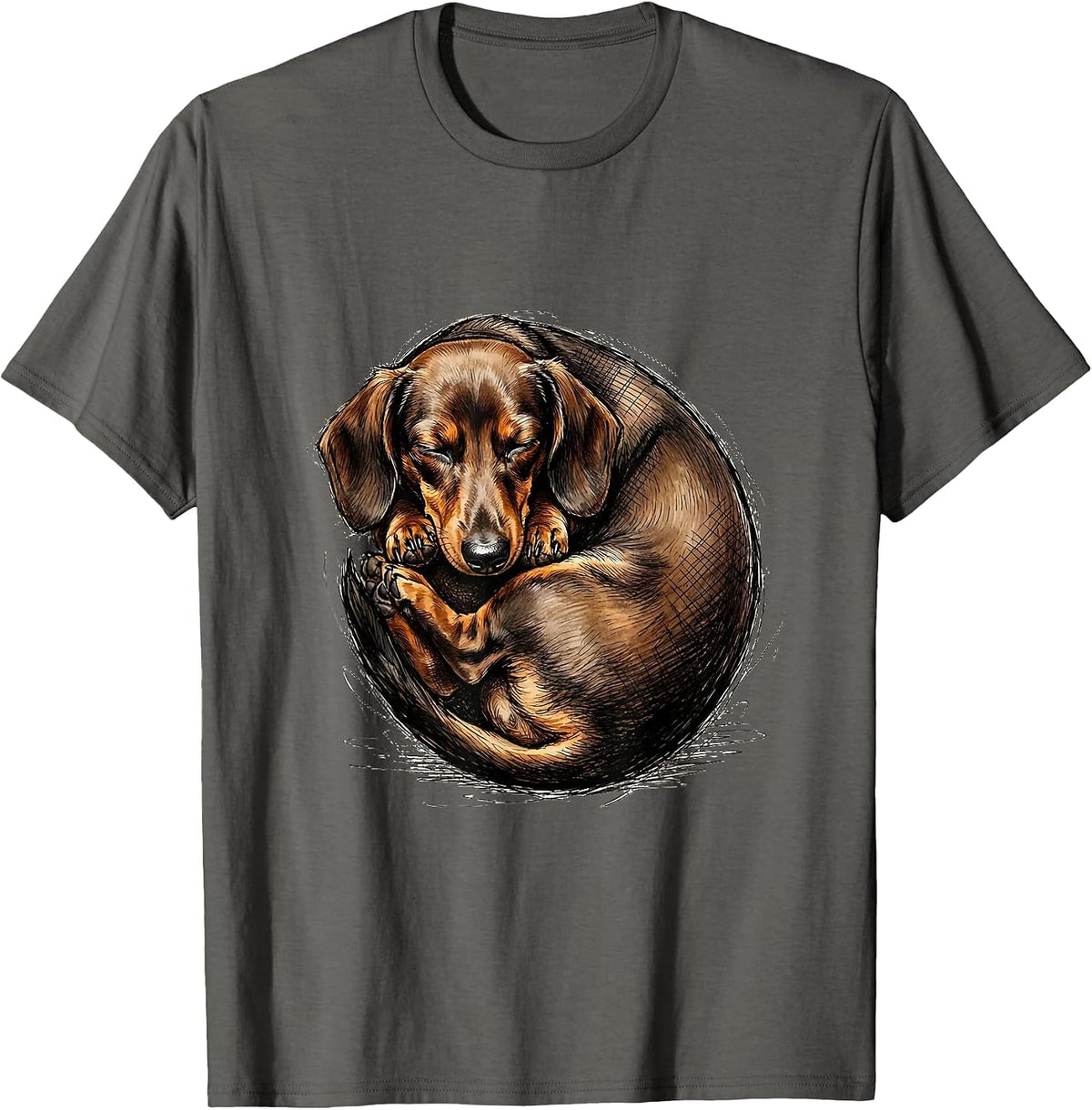 Sleeping Dachshund Donut Curl Cute Dog Lover Graphic T-Shirt - Asphalt Grey