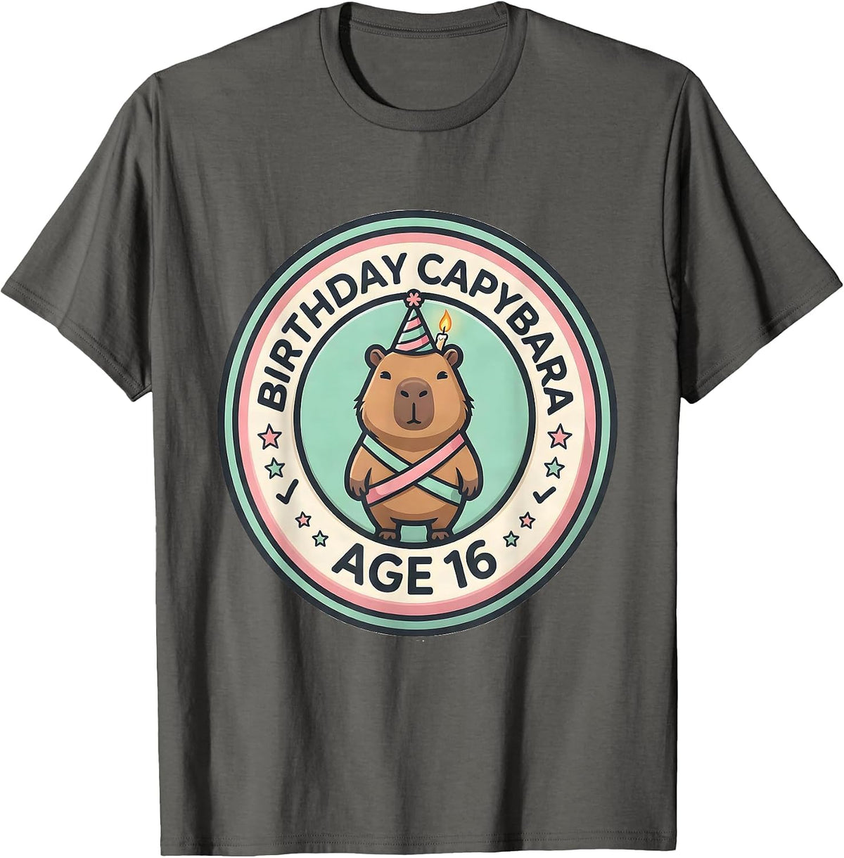 Birthday Capybara Age 16 Kawaii Girl Cute Animal Lover T-Shirt - Asphalt Grey