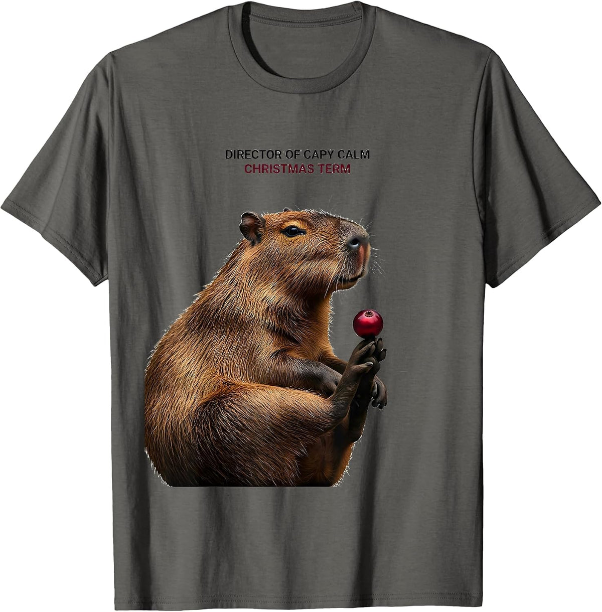 Director Of Capy Calm Christmas Term Funny Capybara Animal T-Shirt - Asphalt Grey