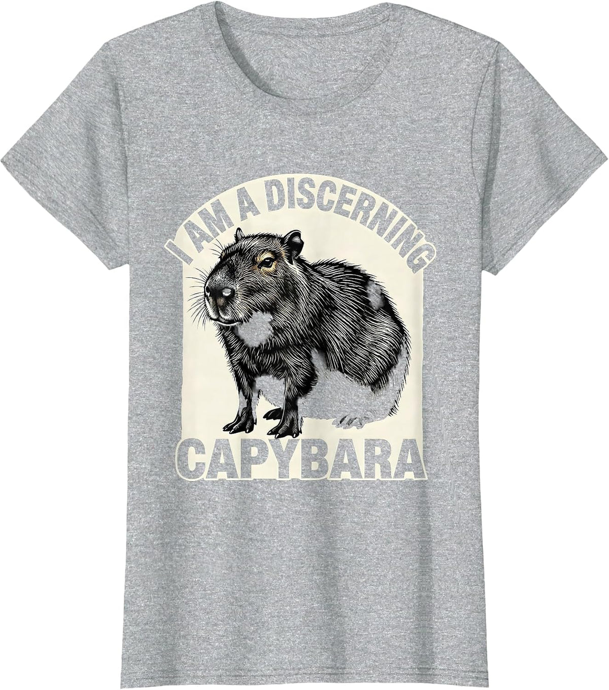 Women's I Am A Discerning Capybara Funny Animal Lover Sarcastic T-Shirt - Heather Grey