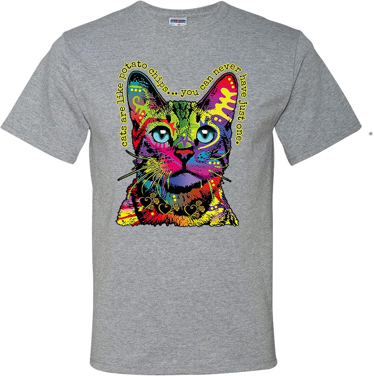 Animal Lover Cats are Like Potato Chips Colorful Rainbow Catmens T-Shirts - Heather Grey