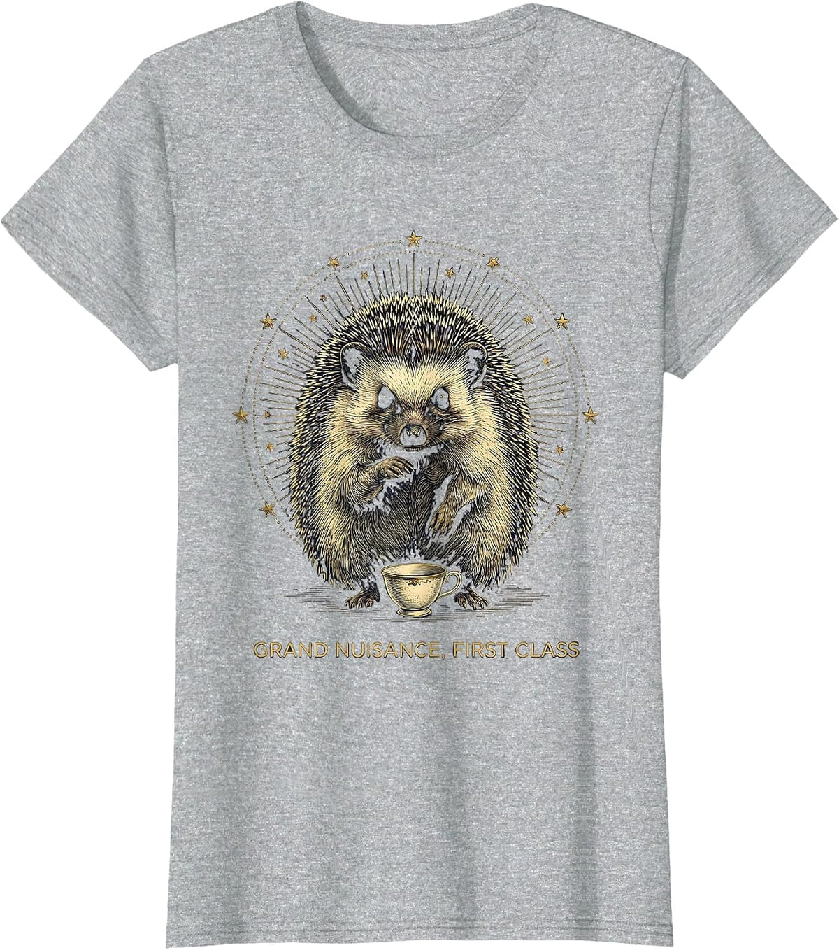 Grand Nuisance, First Class Mystic Celestial Hedgehog Meme T-Shirt - Heather Grey