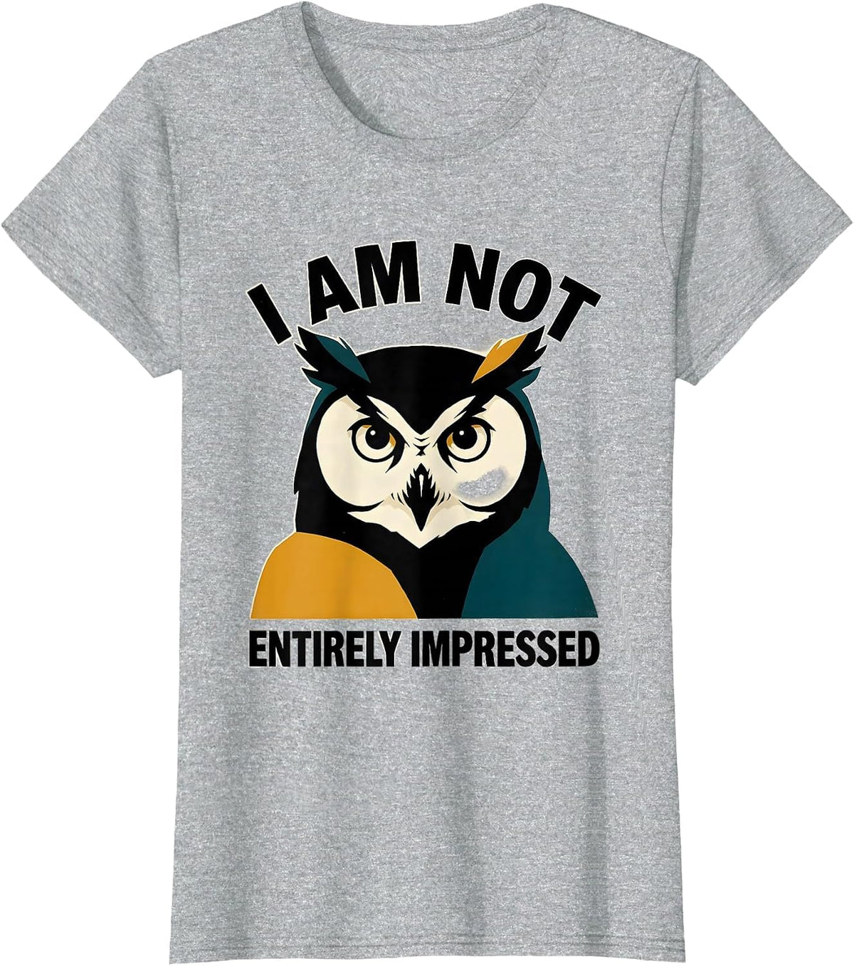 I Am Not Entirely Impressed Funny Owl Animal Meme Humor T-Shirt - Heather Grey