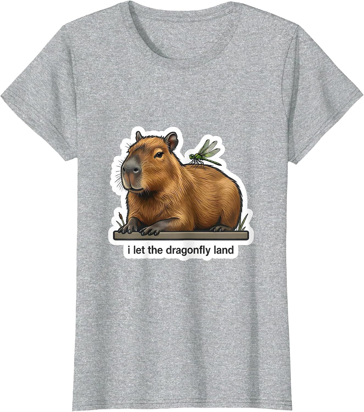 Women's i Let the Dragonfly Land Funny Capybara Meme Animal Humor T-Shirt - Heather Grey