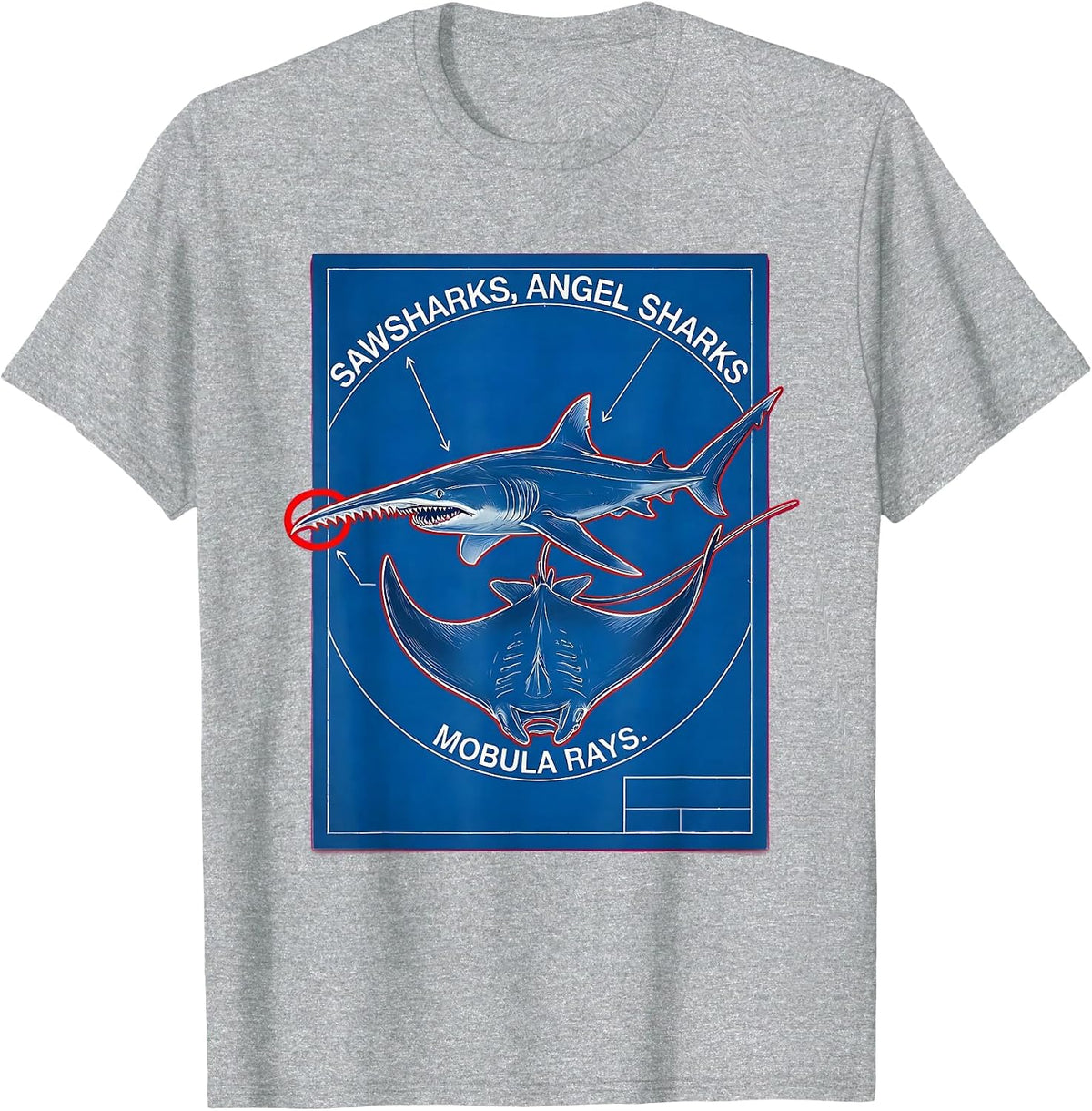 Men's Sawsharks, Angel Sharks, Mobula Rays Technical Blueprint T-Shirt - Heather Grey