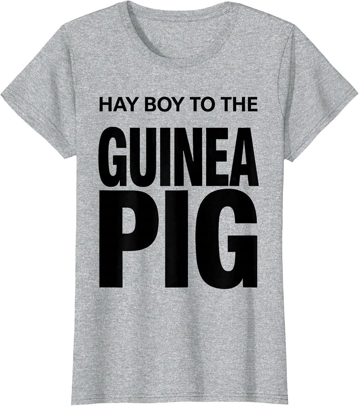 Hay Boy To The Guinea Pig Cute Cavy Lover Humor T-Shirt - Heather Grey