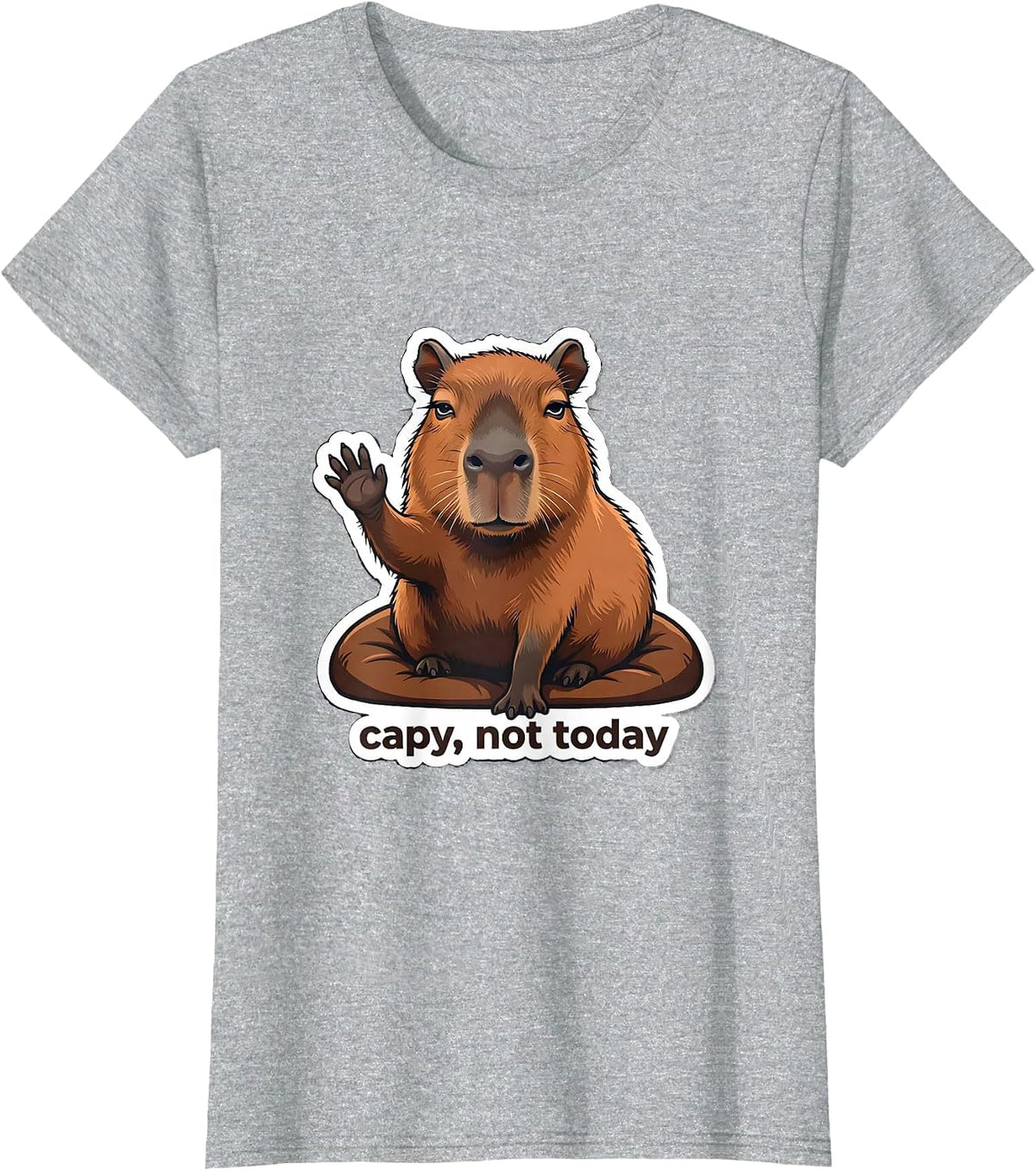 Women's capy, not today Funny Capybara Meme Animal Lover Humor T-Shirt - Heather Grey