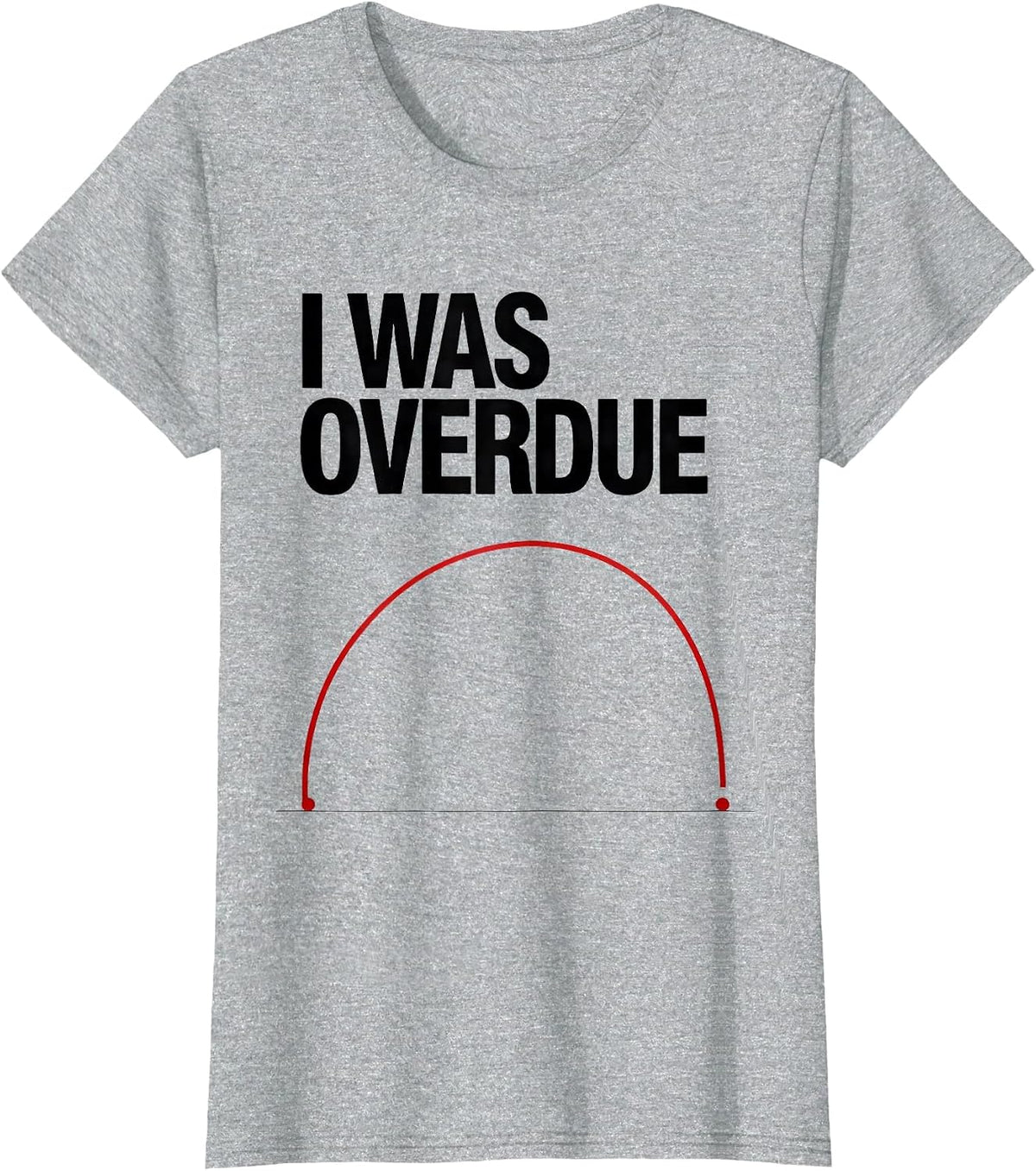I Was Overdue Funny Physics Joke Science Enthusiast T-Shirt - Heather Grey