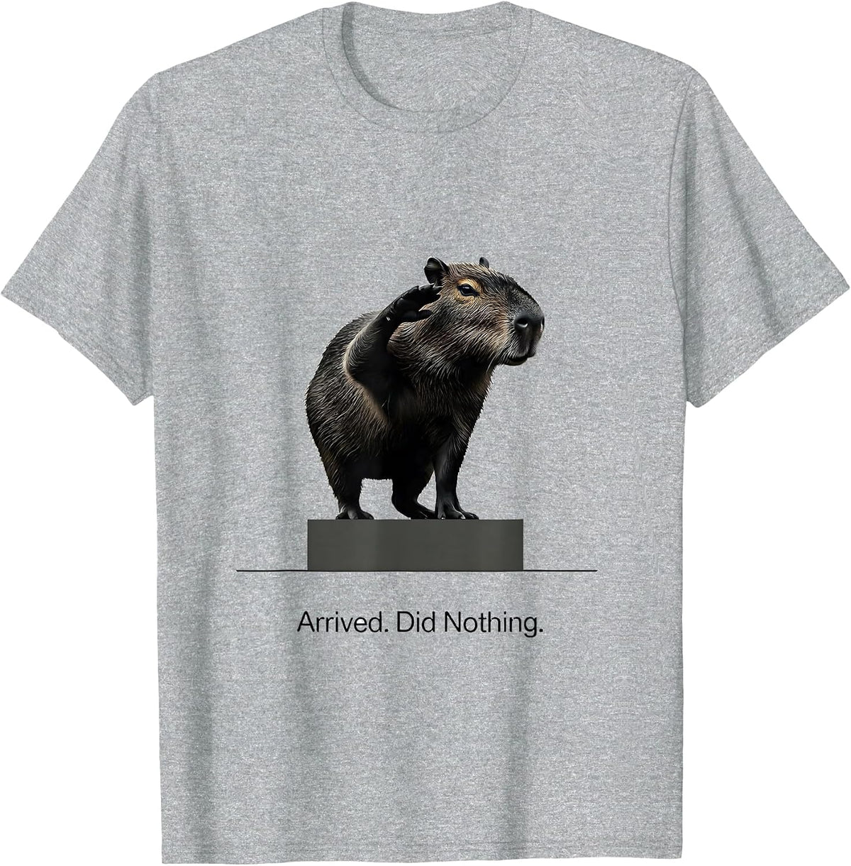 Men's Arrived. Did Nothing Minimalist Capybara Animal Meme Humor T-Shirt - Heather Grey