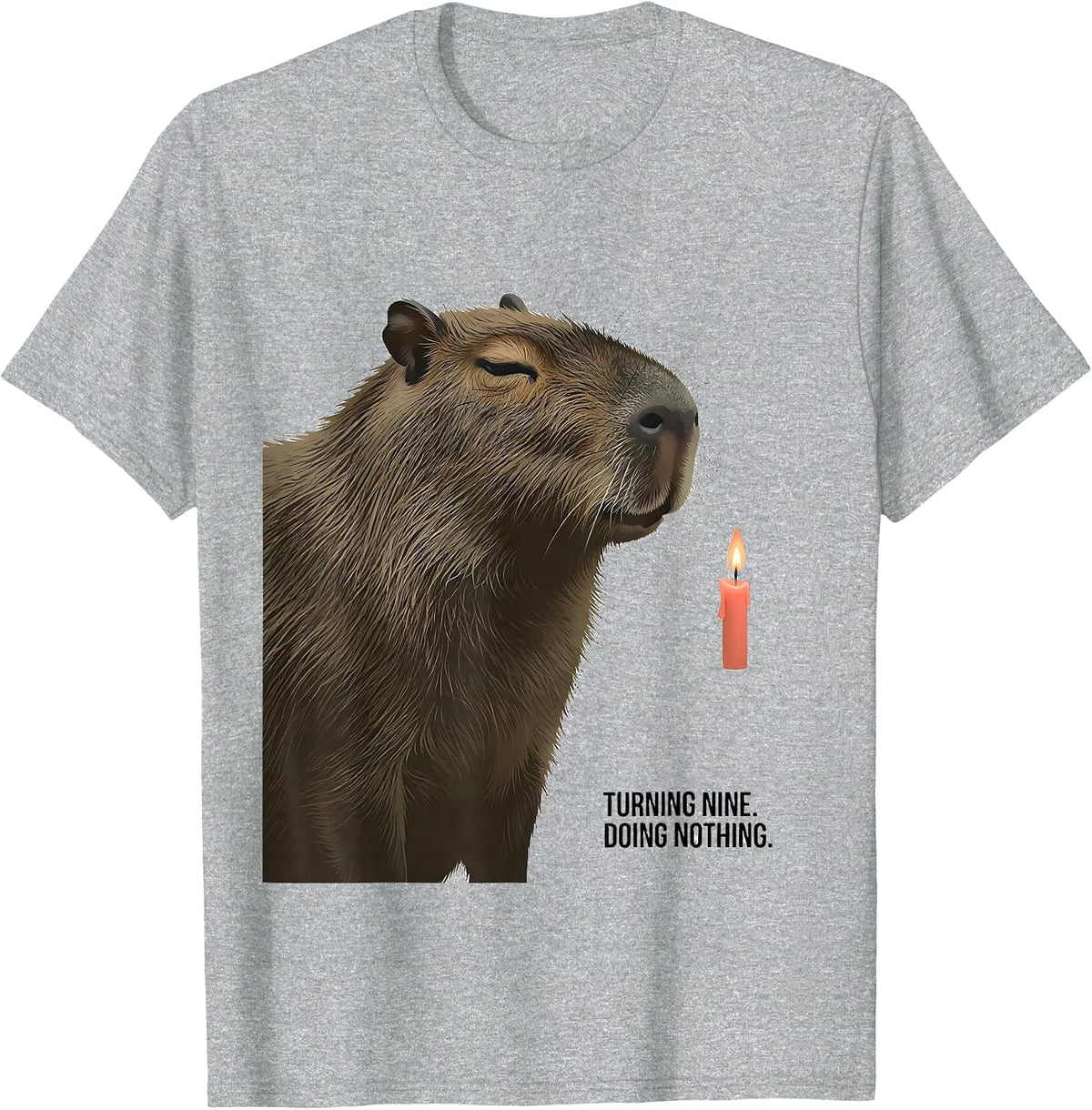 Men's Turning Nine Doing Nothing Kawaii Capybara Birthday Gift T-Shirt - Heather Grey