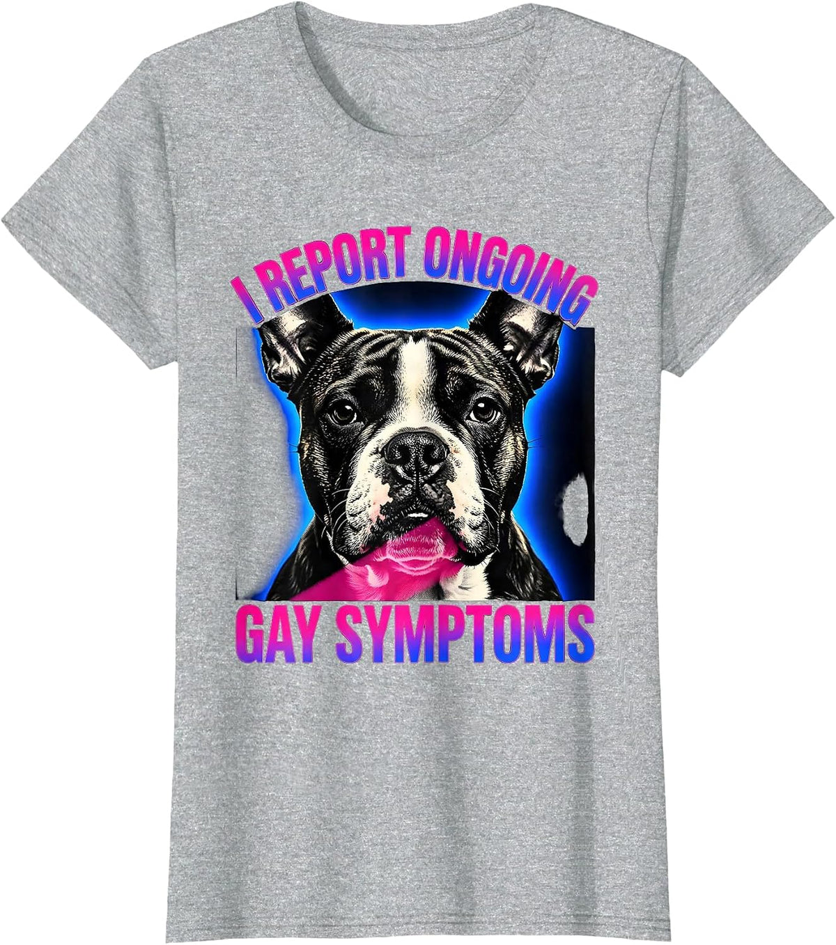 Women's I Report Ongoing Gay Symptoms Funny Bull Terrier Meme T-Shirt - Heather Grey