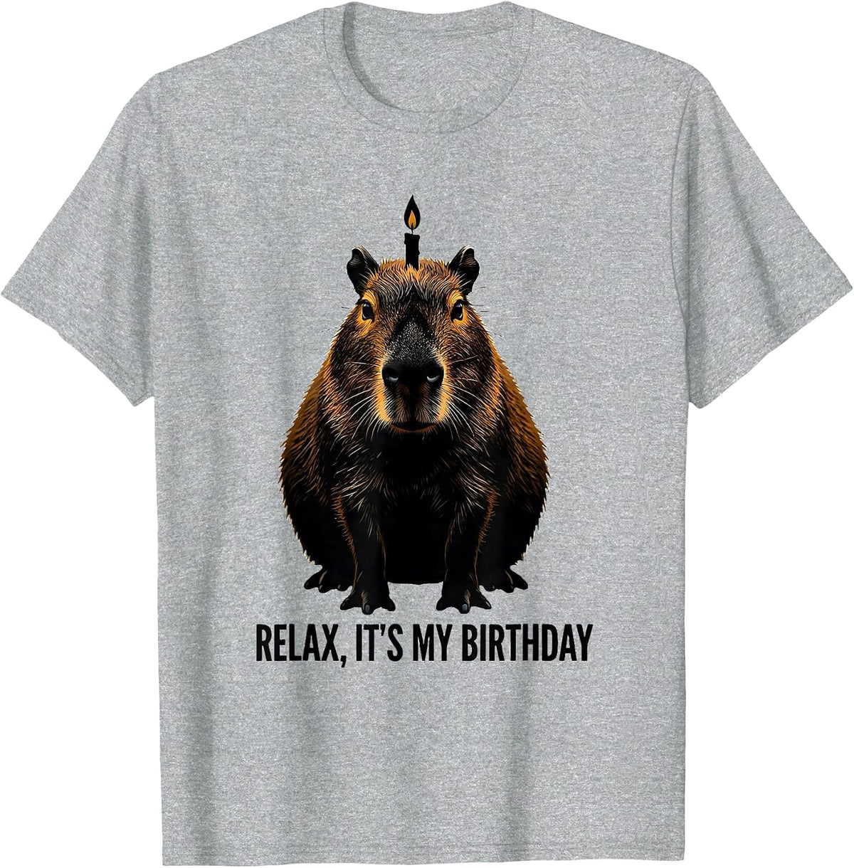 Men's Relax It's My Birthday Capybara Kids Birthday Party Humor T-Shirt - Heather Grey