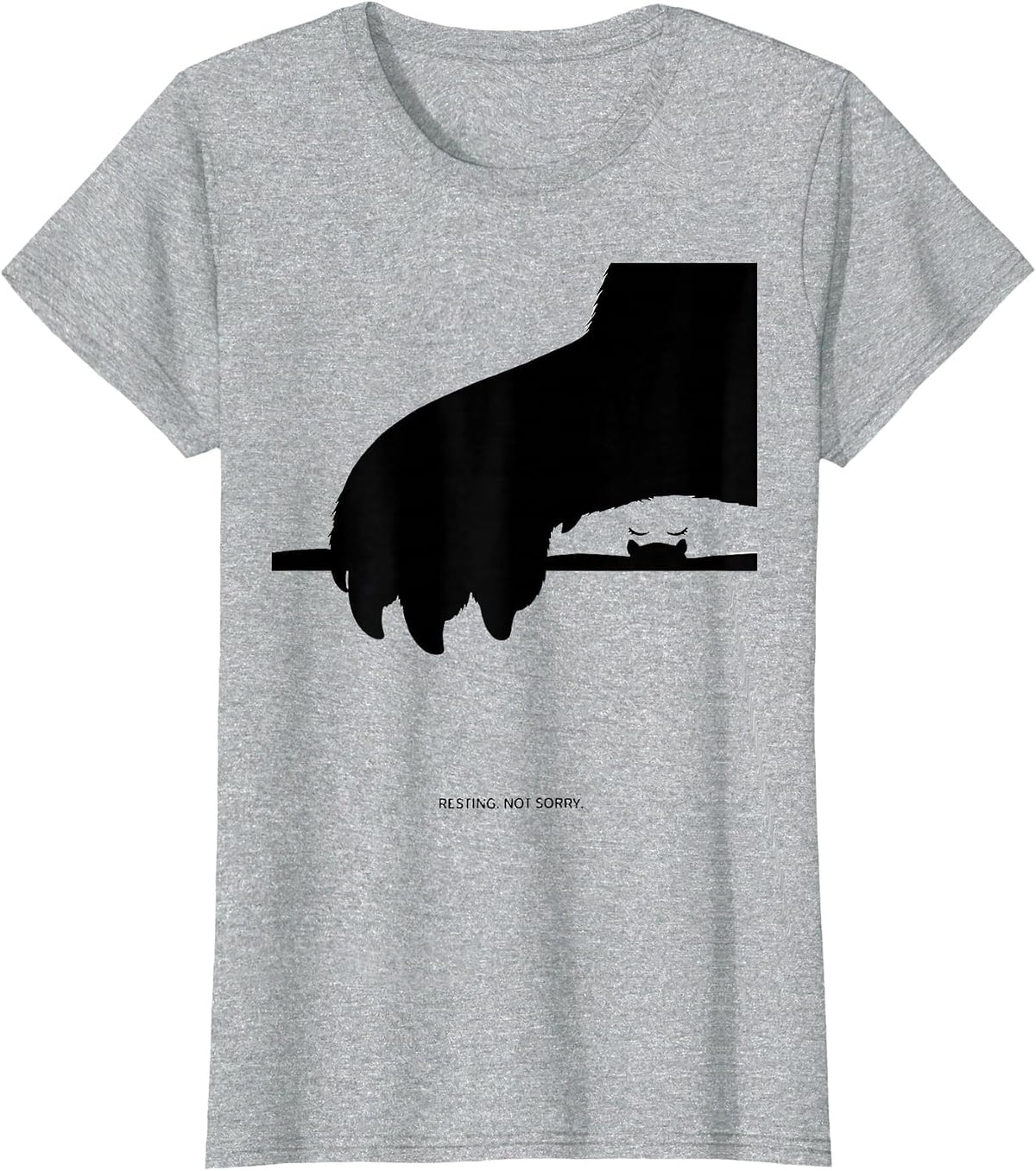 Women's Resting Not Sorry Cute Capybara Sleepybara Pajama T-Shirt - Heather Grey